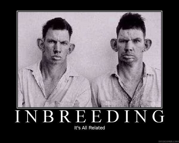 File:Inbred.jpg