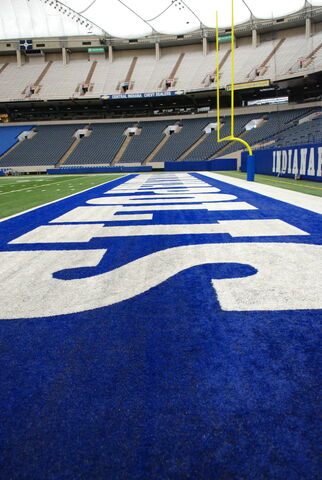 File:RCA Dome-1196048087-856.jpg