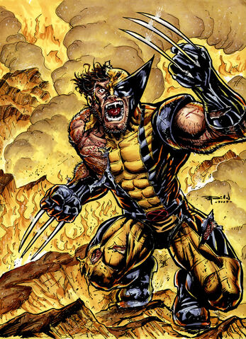 File:Wolverine.jpg