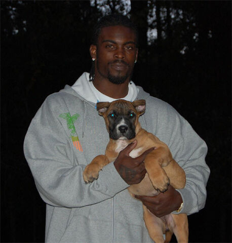 File:Michael Vick Dog.jpg