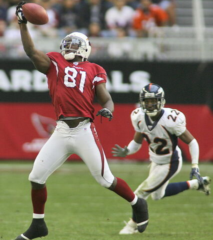 File:Boldin10.jpg