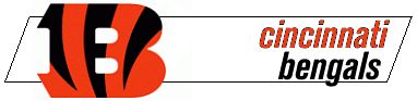 File:NFLBanner cin.jpg