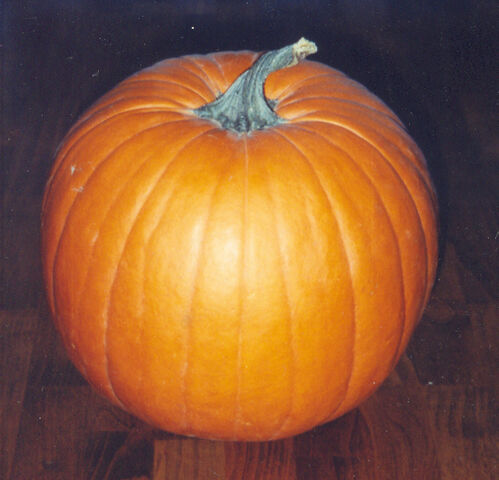 File:Pumpkin.jpg