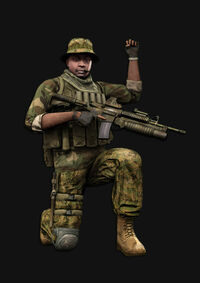 456.jpg