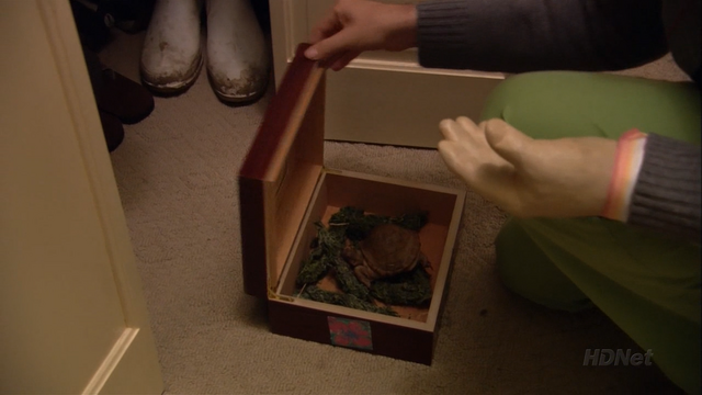 File:3x7 Marijuana.png