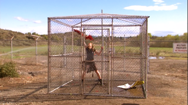 File:1x20 Whistler's Mother (55).png