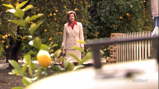 File:1x20 Whistler's Mother (60).png