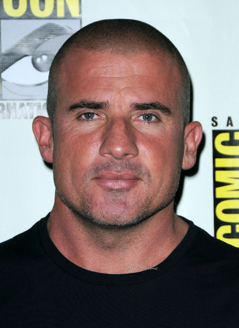 File:Dominic Purcell.png