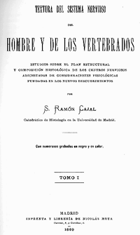 Textura.gif