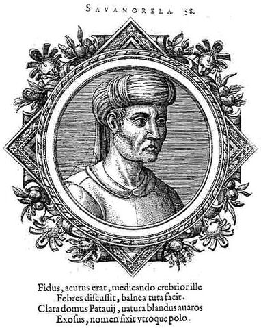 Ficheiro:Savonarola Michele.jpg