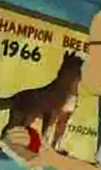 1966champion