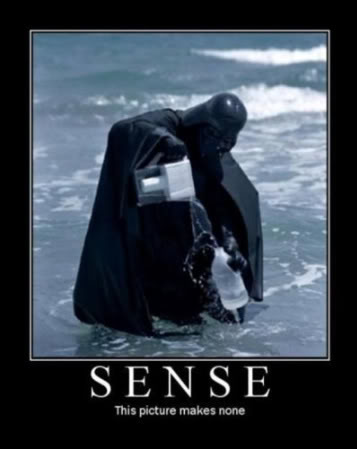 Sense