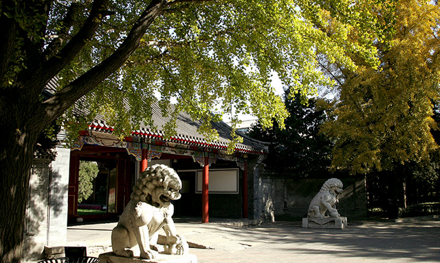 File:View1.png