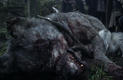 DeadDirewolf.jpg