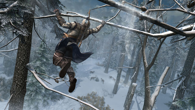 ファイル:Connorjumping.jpg