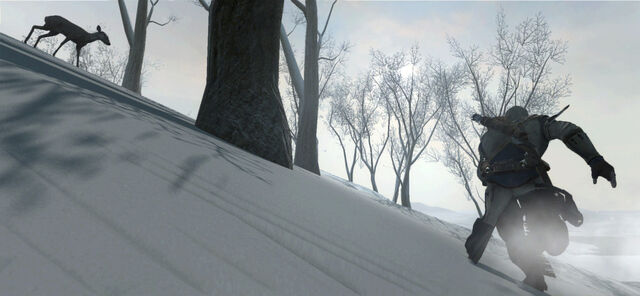 File:Connor-stalking-deer-2.jpg