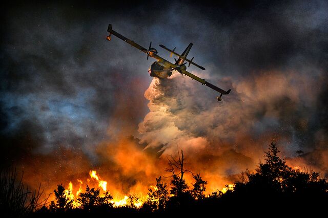 File:Forest-fire (1).jpg