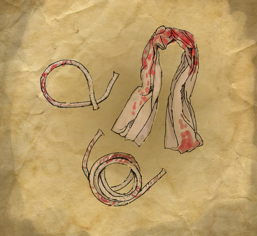 File:TbitbRopesGag.png