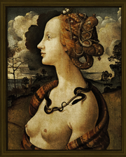 Simonetta Vespucci.png