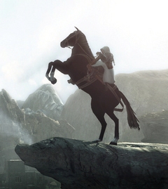 Pferd.jpg