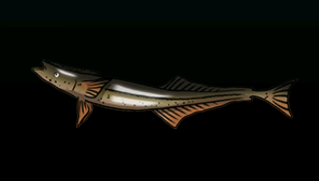 File:SharksuckerACP.png