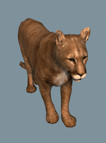 DB Cougar
