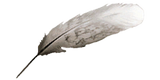 Feather AC2