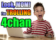 The Novice Noob