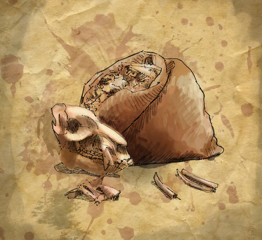 File:BocLargeSackclothBag.png