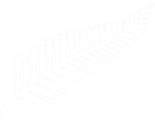 File:Silver fern flag.png