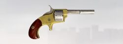 ACS Pocket Pistol