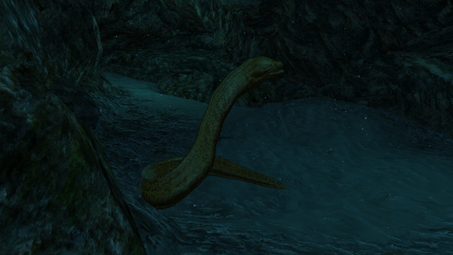 File:AC4 Moray Eel.png