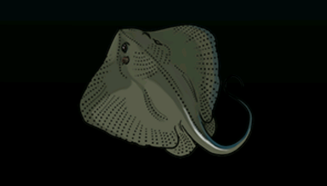 File:StingrayACP.png