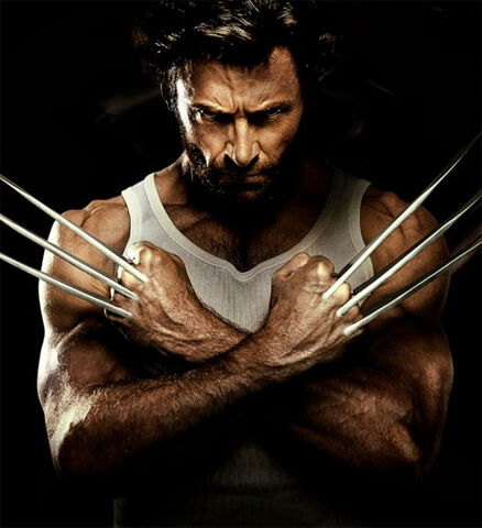 File:Wolverine.jpg