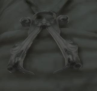File:Seal 6.JPG