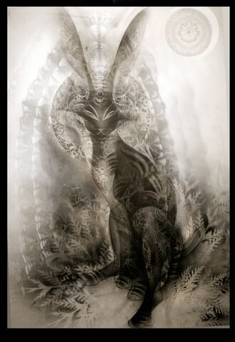 File:Black rabbit of inle.jpg