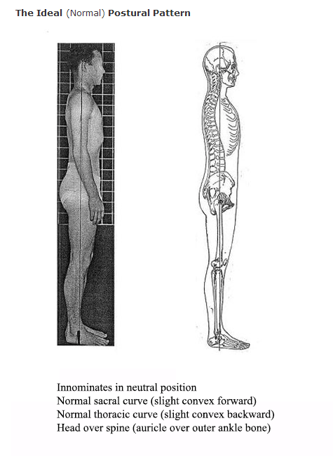 4 Postural Patterns