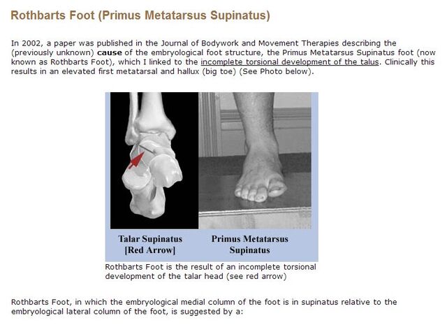 File:Rothbarts Foot Definition with photos.jpg