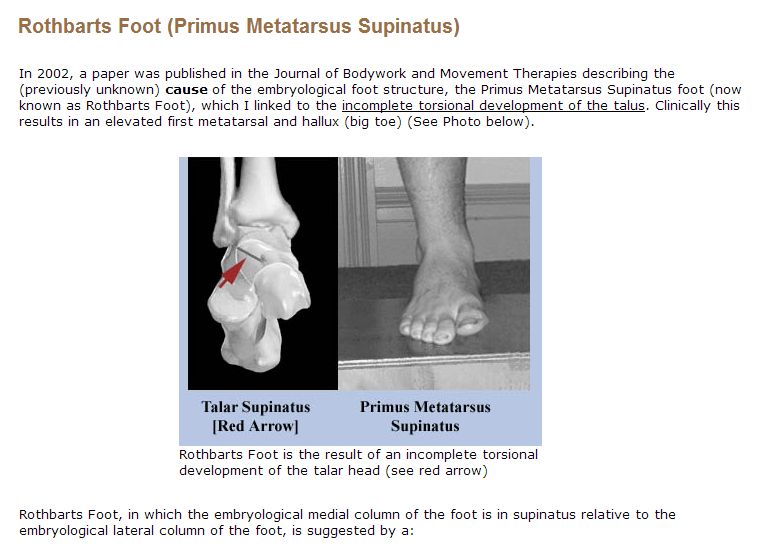 Rothbarts Foot Definition with photos