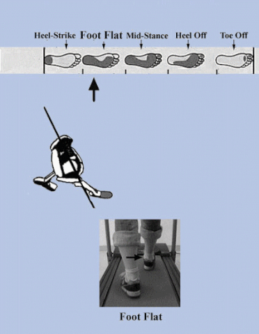 File:Gravity Drive Pronation Animation.gif