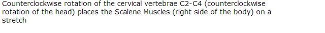 File:Description of Animation.jpg