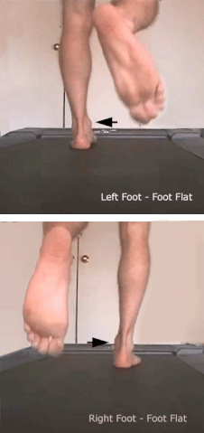 File:Case2TreadmillAnimation.gif