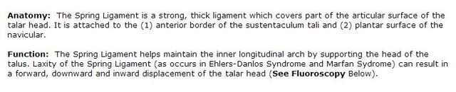 File:Spring Ligament Laxity Anatomy and Function.jpg