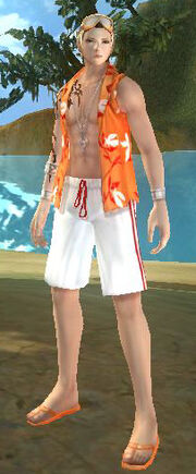 Beach Male Outfit