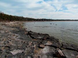 Inverhuron Park.jpg