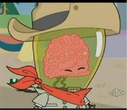 Cerebral cowboy