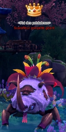 Scarafleur pompette géant