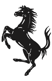 Cavallino
