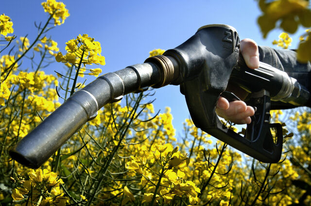 File:Biofuel.jpg