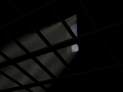 Prison bars